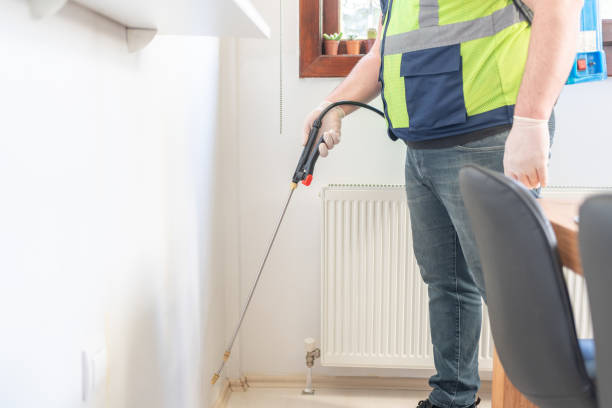 Best Bed Bug Extermination  in Midway South, TX